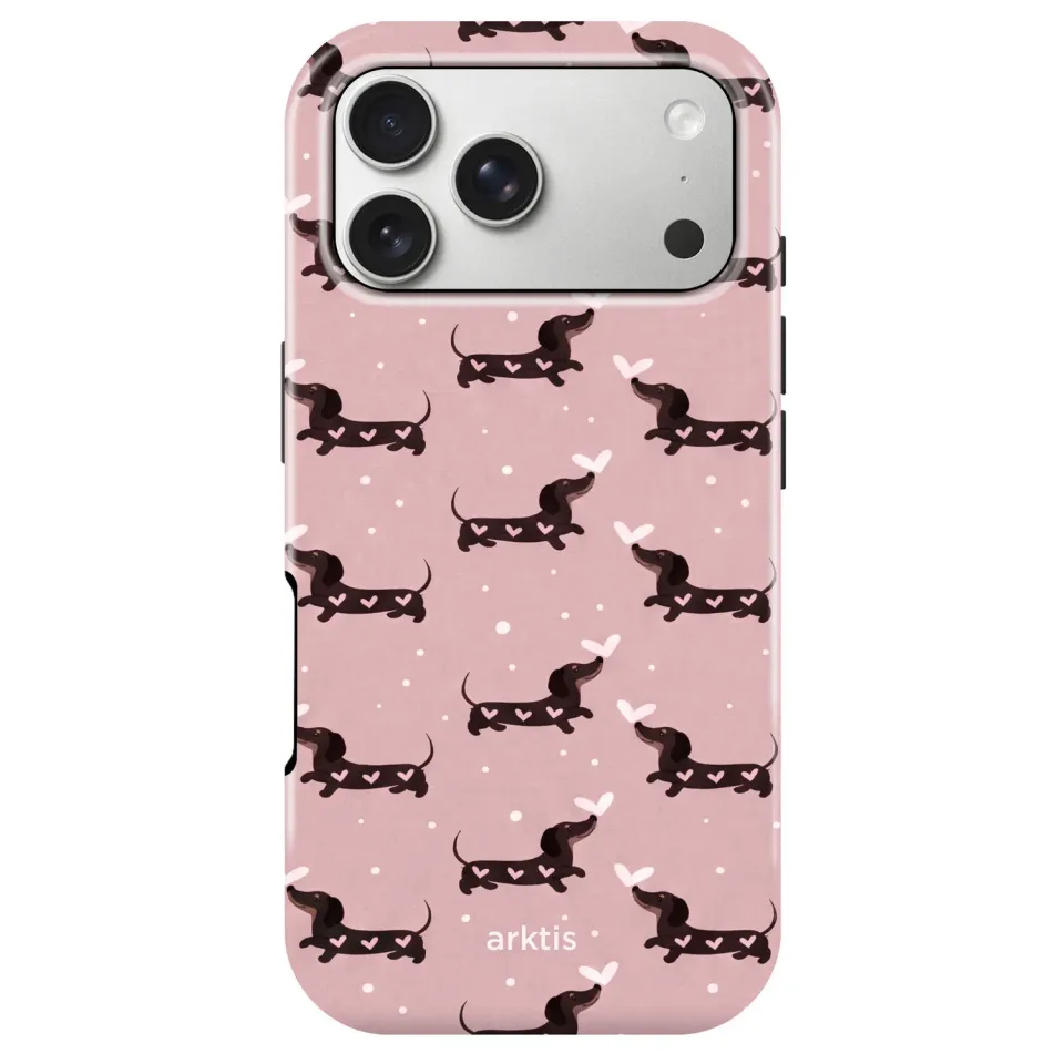 arktis Dackel Love iPhone-Hülle iPhone 17 Pro MagSafe-Print