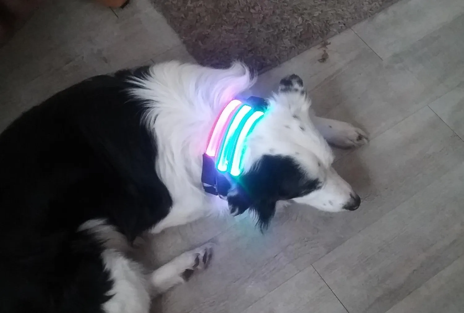 EAZY CASE LED Armband Blau 4er Leuchtband Klett 3 Modi