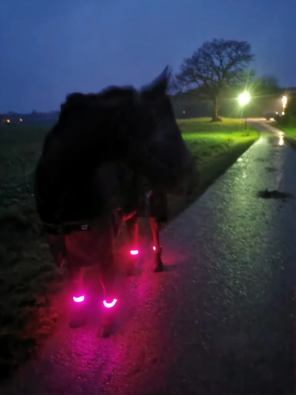 EAZY CASE LED Armband Blau 4er Leuchtband Klett 3 Modi